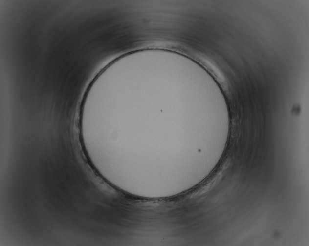 X0000102850948200809081240