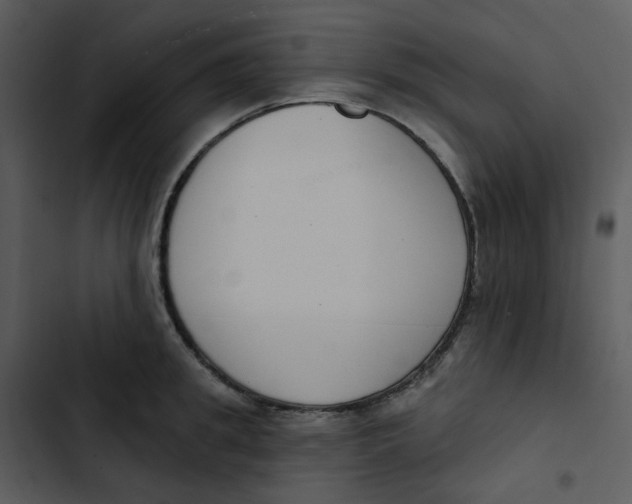 X0000102850949200809081240