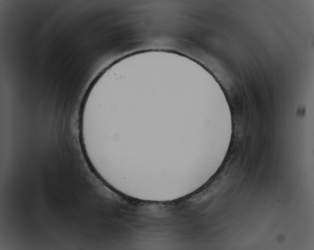 X0000102850950200809081240