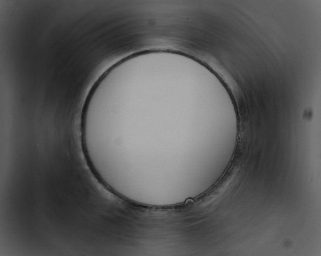 X0000102850951200809081240