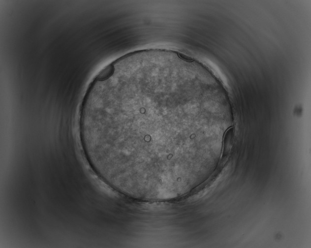 X0000102850952200809081240