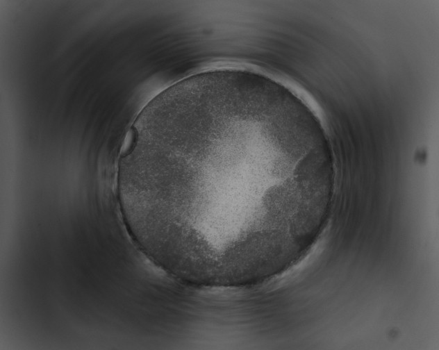 X0000102850953200809081240