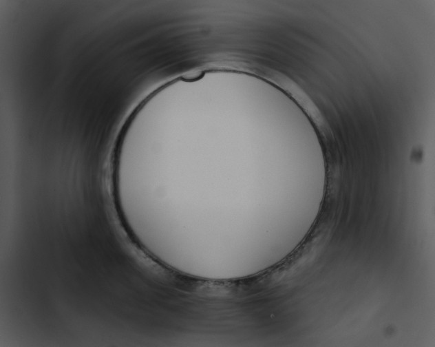 X0000102850955200809081240