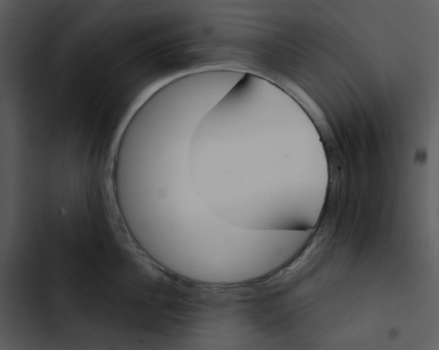 X0000102850956200809081240