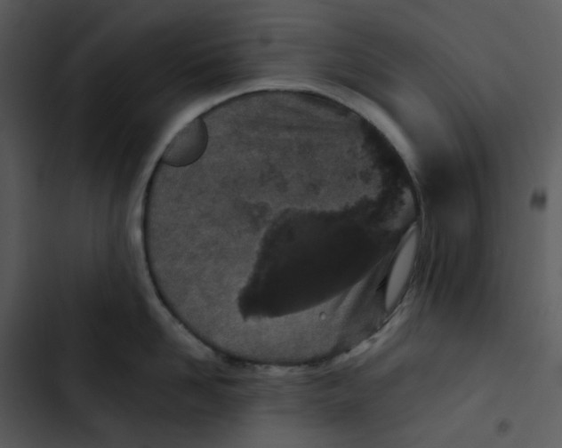 X0000102850958200809081240