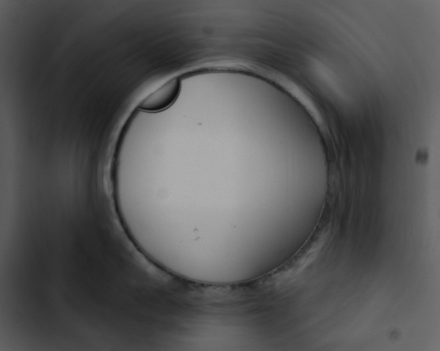 X0000102850959200809081240