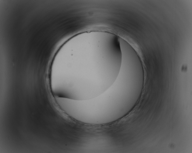 X0000102850960200809081240