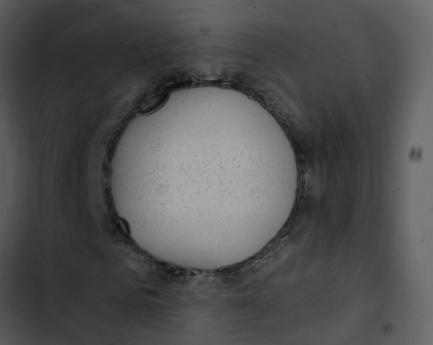 X0000102850961200809081239