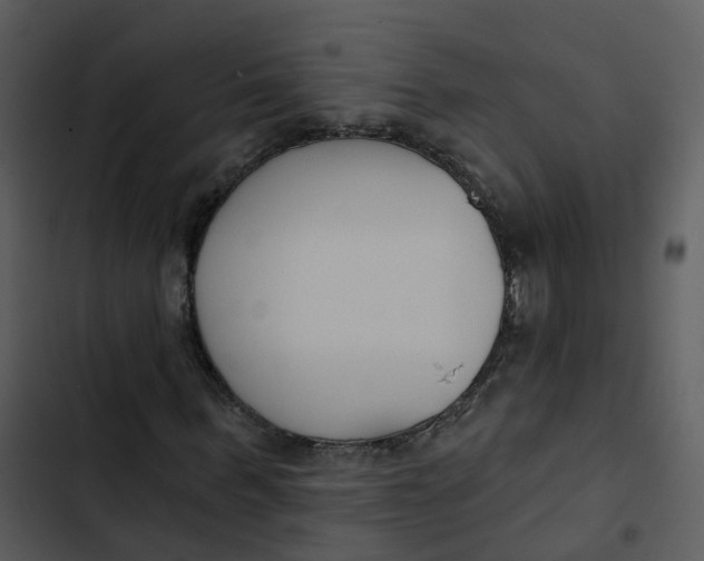 X0000102850963200809081239