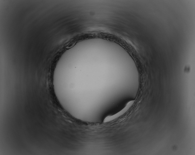 X0000102850965200809081239