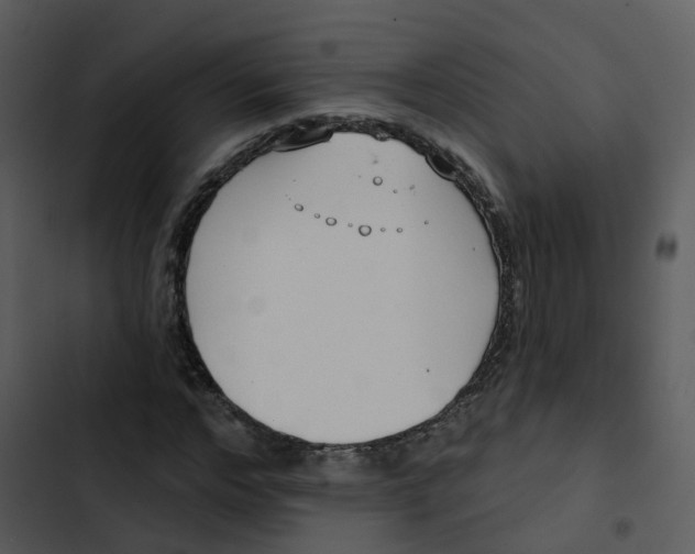 X0000102850968200809081239