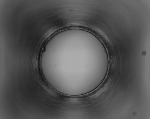 X0000102850969200809081239