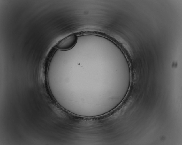 X0000102850973200809081239