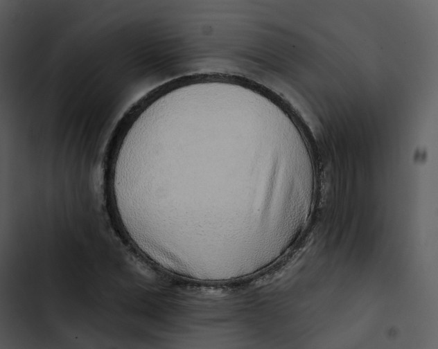 X0000102850975200809081239