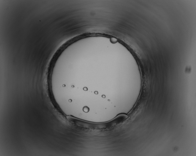 X0000102850976200809081239