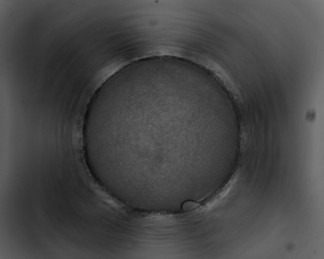 X0000102850977200809081239