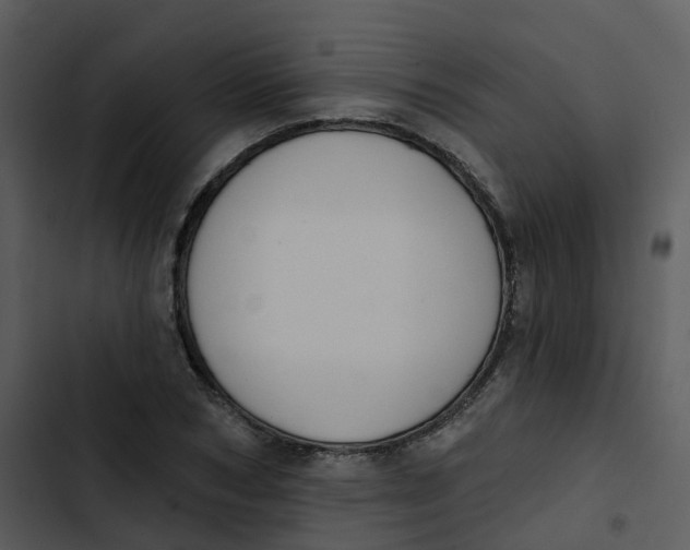 X0000102850978200809081239