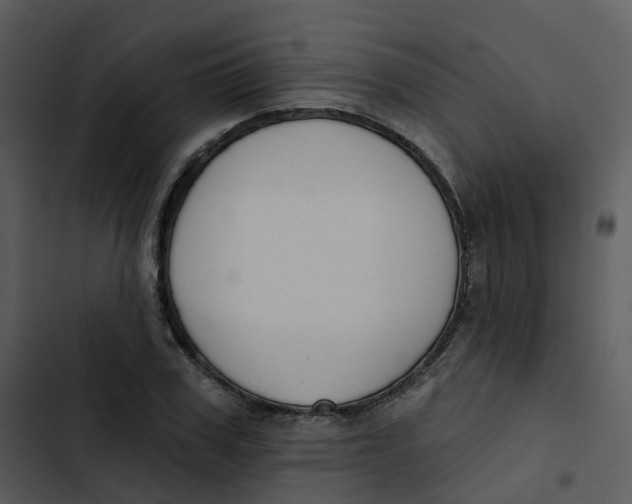 X0000102850979200809081239