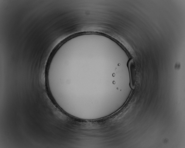 X0000102850980200809081239