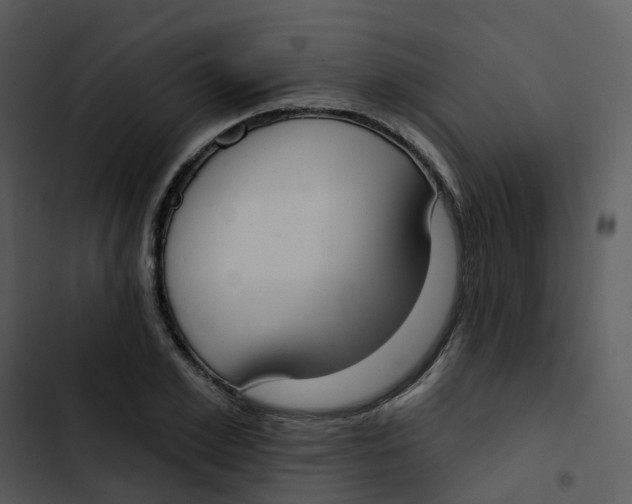 X0000102850981200809081239