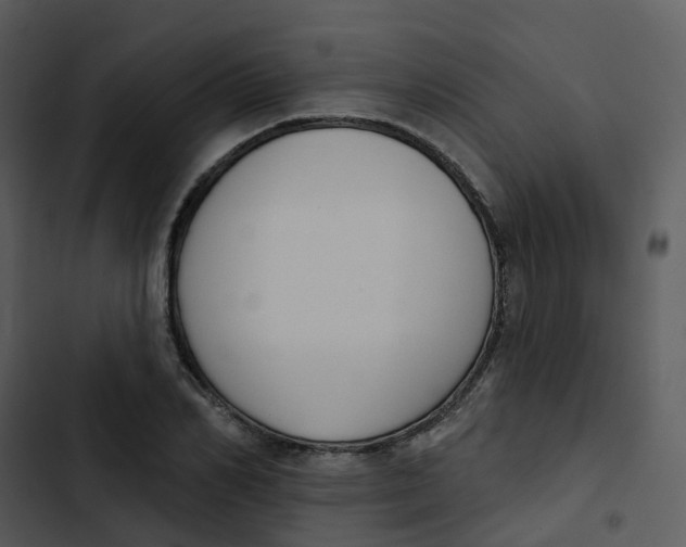 X0000102850982200809081239