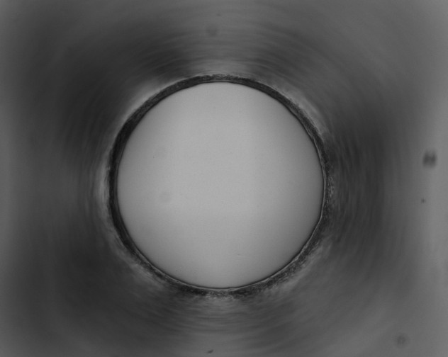 X0000102850983200809081239