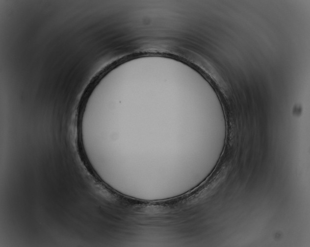 X0000102850984200809081239