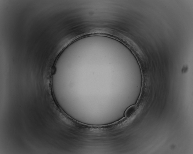 X0000102850985200809081239