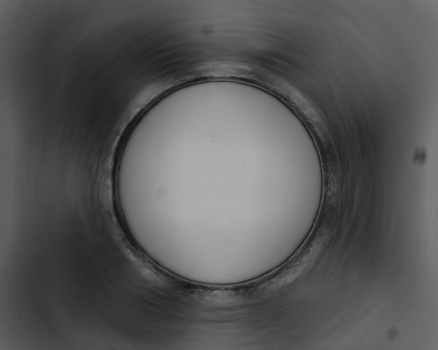 X0000102850986200809081239