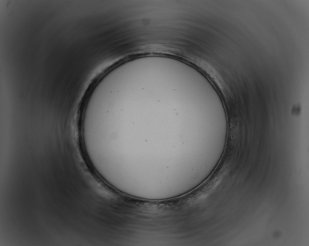 X0000102850987200809081239