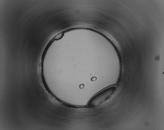 X0000102850988200809081239