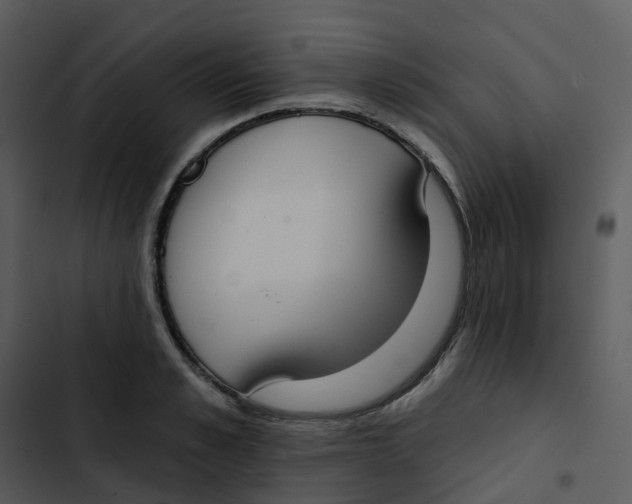 X0000102850989200809081239