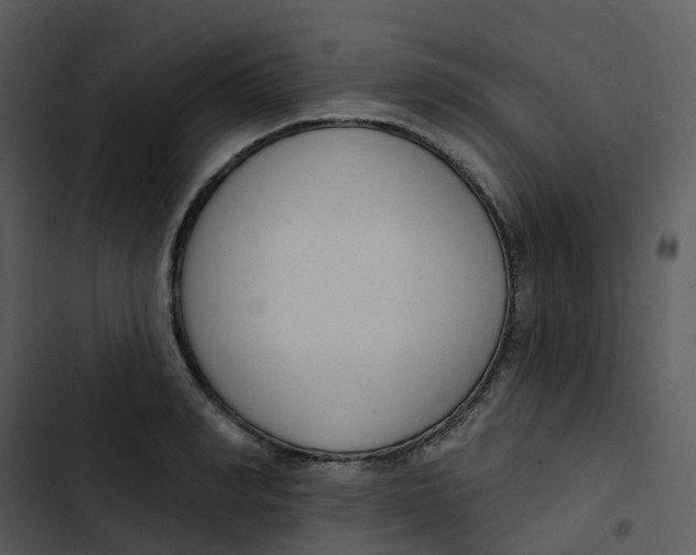 X0000102850990200809081239