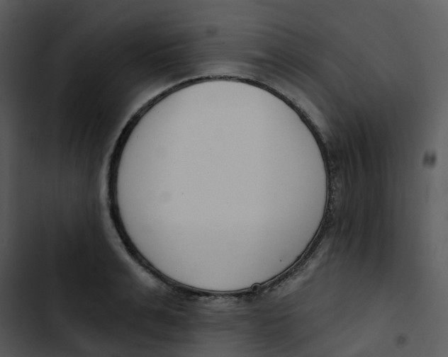 X0000102850991200809081239