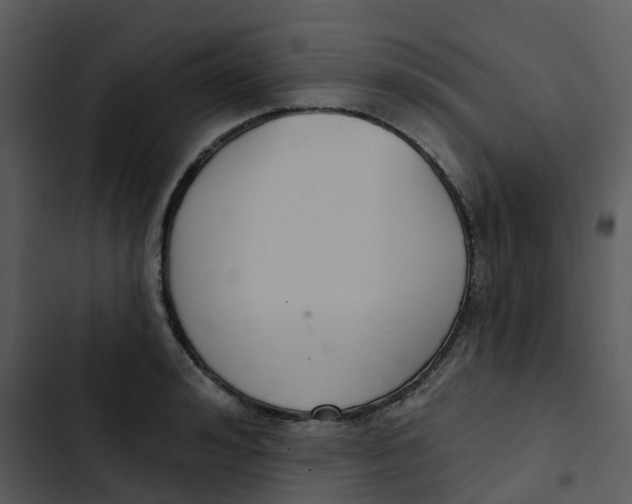 X0000102850992200809081239