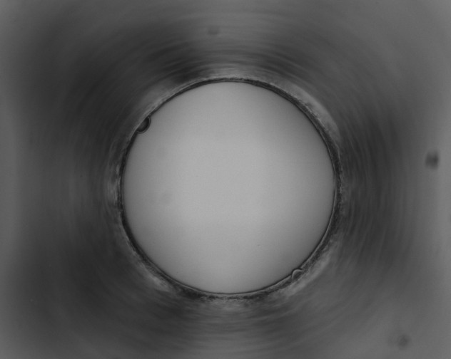 X0000102850993200809081239