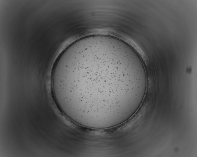 X0000102850994200809081239