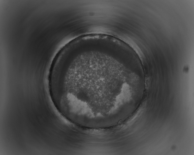 X0000102850995200809081239