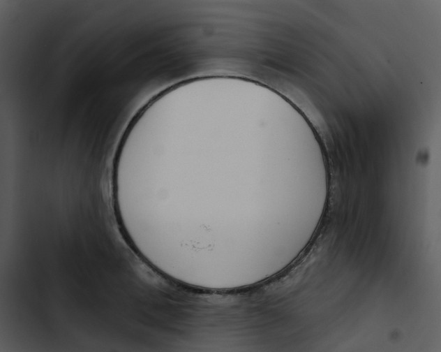 X0000102850996200809081239