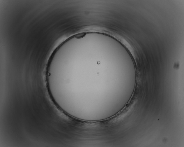 X0000102850997200809081239