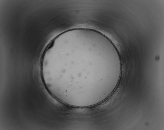 X0000102850998200809081239