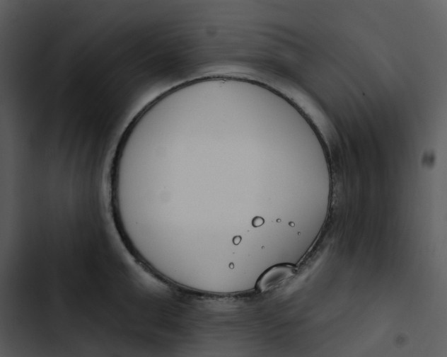 X0000102850999200809081239