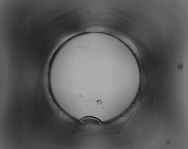 X0000102851000200809081239