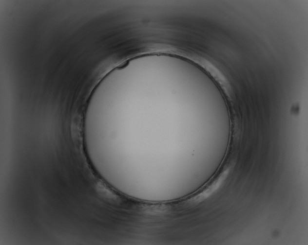 X0000102851001200809081239