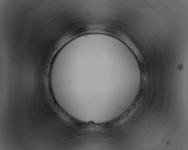 X0000102851002200809081239