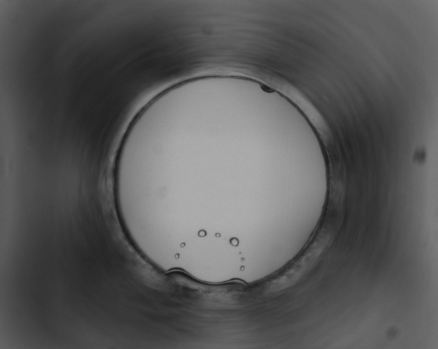 X0000102851004200809081239