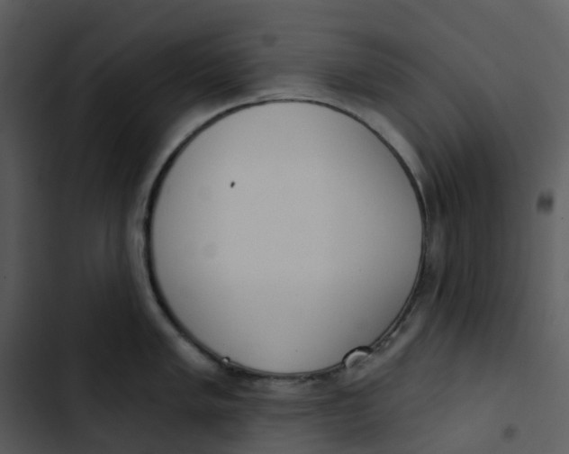 X0000102851005200809081239