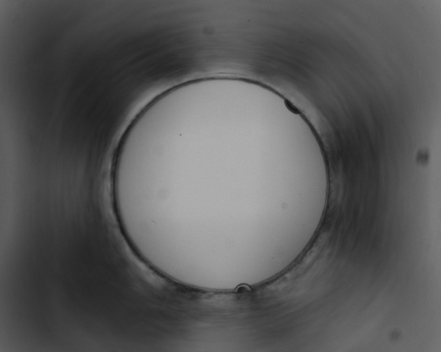 X0000102851006200809081239