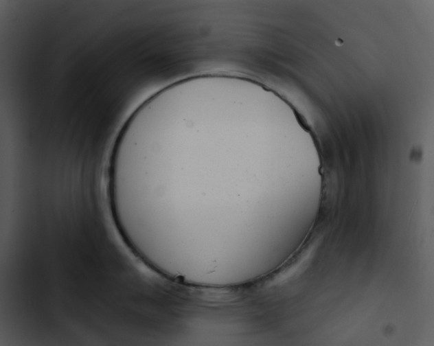 X0000102851007200809081239