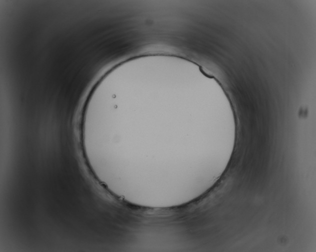 X0000102851008200809081239